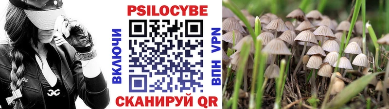 Псилоцибиновые грибы мицелий  Канск 