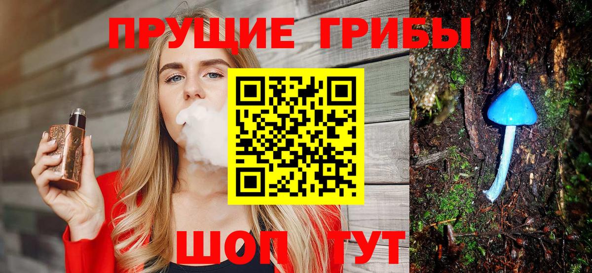 Псилоцибиновые грибы Psilocybe  Вход с VPN  Канск 