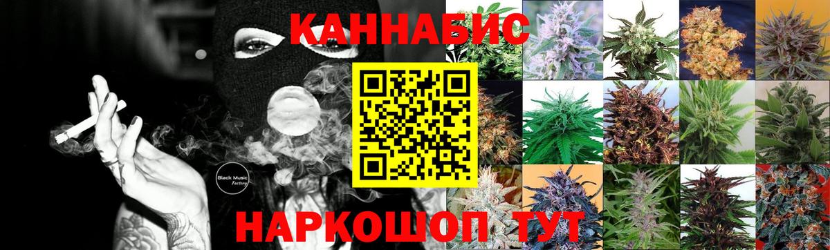 Шишки марихуана планчик Канск